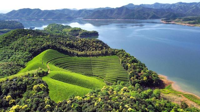 夏秋两季正合适，6处亲近自然的山野风光，八九月风景极佳