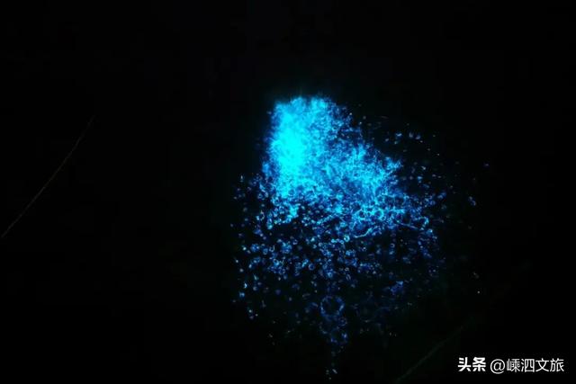 世纪晚霞美炸！荧光海爆发！花鸟岛必须去一趟啦~