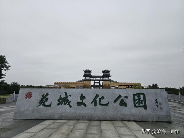 周末神仙去处，苑城公园，既可以赏金黄的银杏叶，还可以赏水景