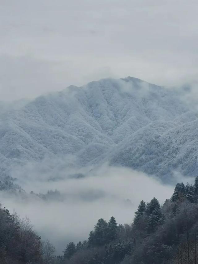汉中各大景区银装素裹！快来共赴2025年第一场冰雪之约 →