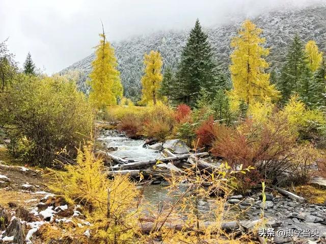 甲依拉措 :一场白雪与彩林的盛宴