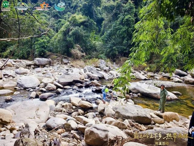 王下溯溪、船型屋寻踪、皇帝洞探秘，这场雨林黎乡之旅太上头！