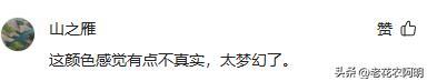 昆明一公园，因“芦苇草太梦幻”走红，网友：太美了，染色了吧？