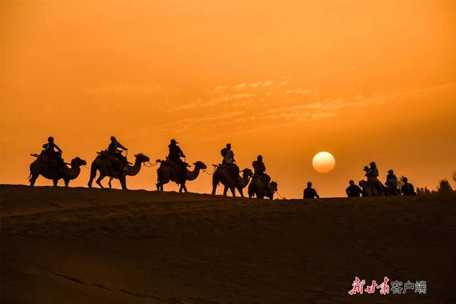 重走丝绸之路，这支“东天山来的骆驼队”到哪了？