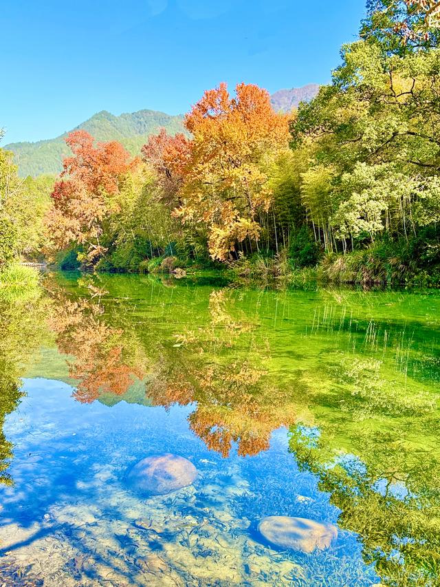 婺里古乡(上饶市婺源县)