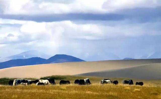 沙漠与湖泊相拥！西藏这片五彩沙丘美到犯规