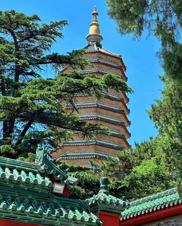 辉煌“十四五” 奋进石景山③——风起京西 焕活新韵