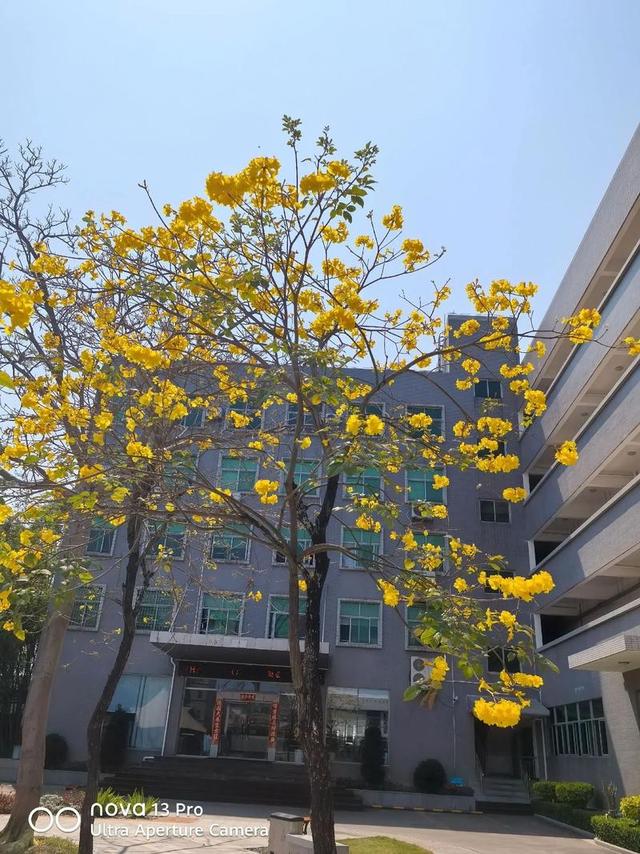 想刺激女性荷尔蒙，只要照做下面几件事，决对让她欲罢不能