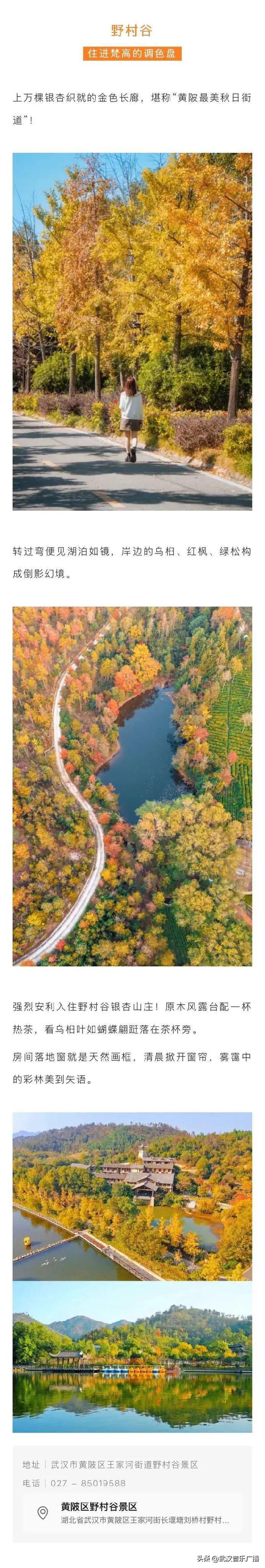 这个秋天来黄陂玩出文艺范