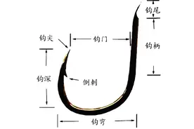 深度解析五大经典鱼钩：金袖、伊势尼、伊豆、新关东、海夕钩图片