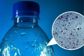 浙大最新研究：微塑料会损害造血系统！网友：加快塑料替代！图片
