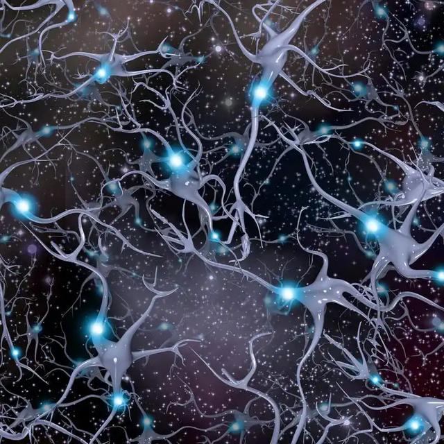 人类皮肤变算力核心？瑞士培育出"湿件"计算机，能解AI能耗危机？