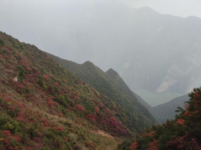 鄂渝行第三天：小红船.瞿塘峡.巫山.神女天路