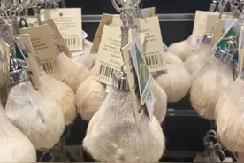 在中国很贵, 在澳洲却极便宜的东西! 网友: 带点澳币回国比什么都好图片