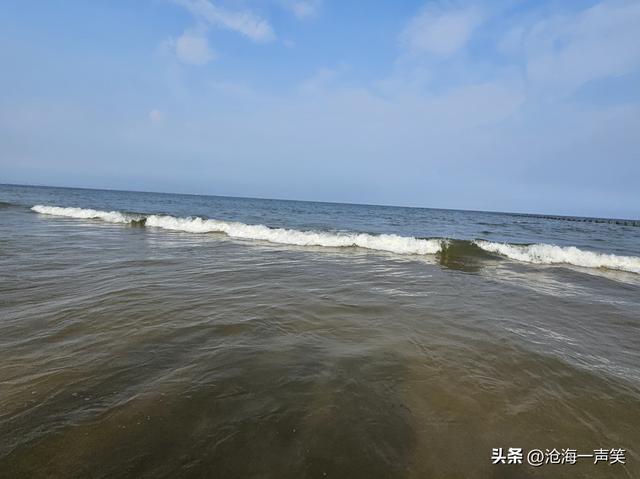 滨海森林公园，有海水相伴，有绿树成荫，有欢乐海洋，有积溪成浪