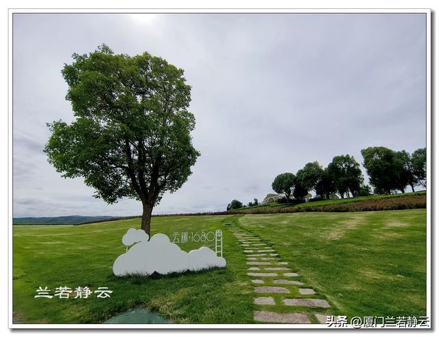 云南弥勒：太平湖森林公园的大地艺术作品