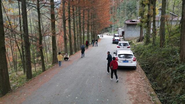 初冬时节红石梁迎来最美打卡季