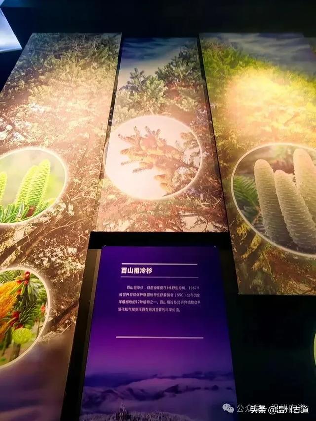 秀山丽水古处州，风光人文之旅，值得你来打卡！