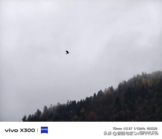 避开秋假人群，用vivo X300记录川西的小众美景