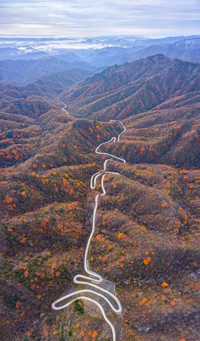 秦岭秋色醉，汉中红叶美：红叶季路线已为您规划好！