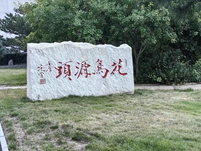 辽宁朝阳行 飞在化石上的鸟 开在化石上的花