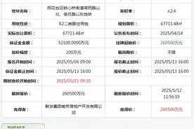 26亿成交！雨核又拍出一块地！图片