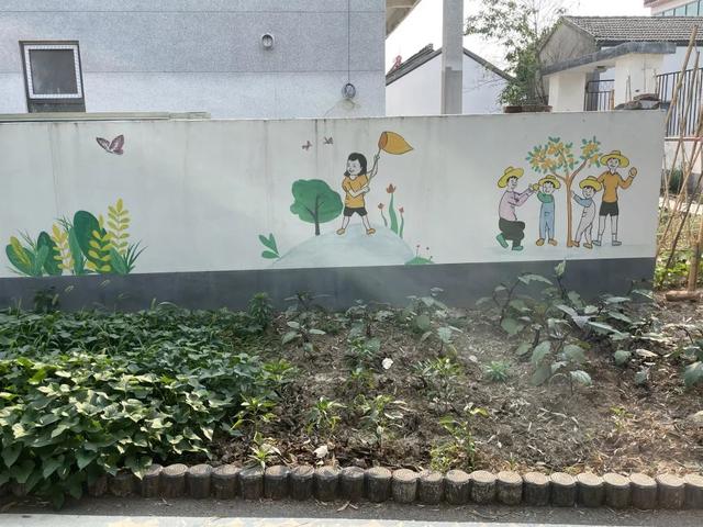 现场实拍界牌镇张家埭村，村景好美