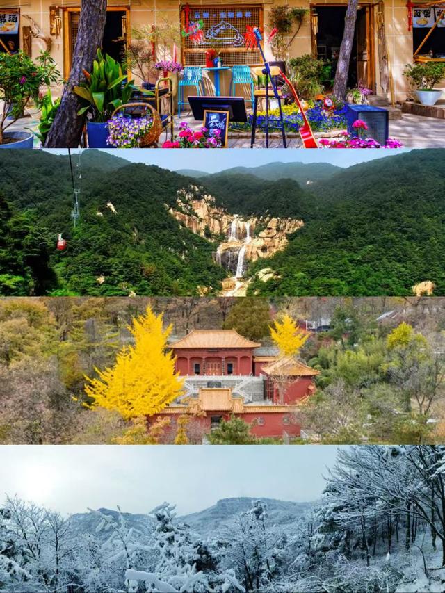 文旅临沂提醒！2026年免费、优惠福利来了！！