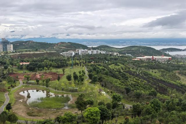 秀北山森林公园改造施工中！大理将添浪漫新地标