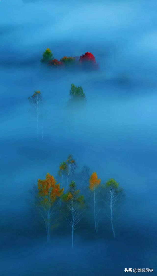 晨雾如纱，轻轻缠绕着远山近林