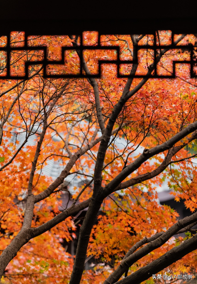 又一5A景区官宣永久免费！年入数亿，关键是秋天美到词穷！