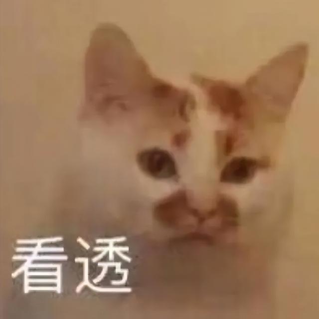 特斯拉廉价版贵到离谱