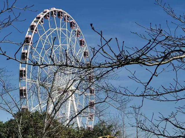 上海解锁“千园之城”,遛娃拍照吸氧圣地,哪个是你最爱?