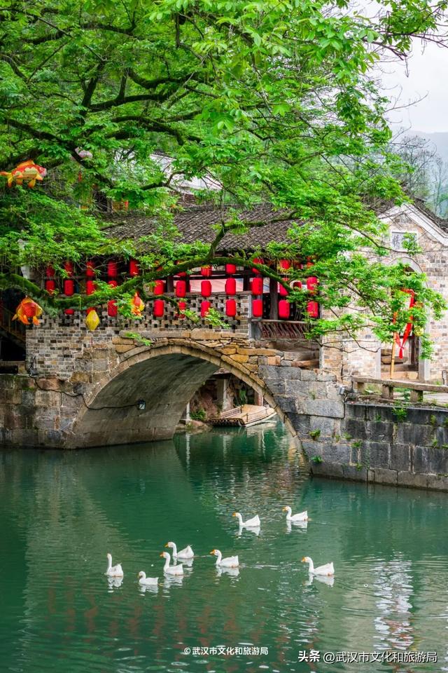 直冲30℃，咸宁请客，出来玩！