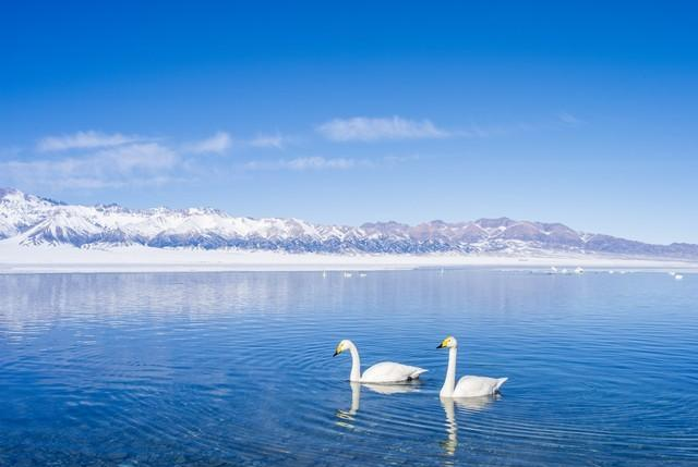 巨蟹座2026年度盛运全景图