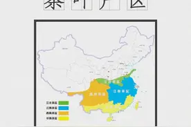 世界上唯一保存完整的古茶树群，在云南！图片