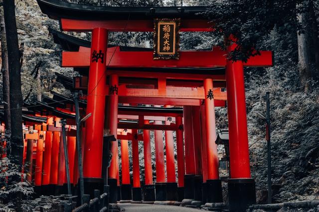 大批中国人依然执意去日本旅游，被日媒追问后，他们的回答太扎心