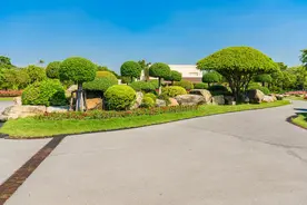 市政园林绿化工程成本和报价图片