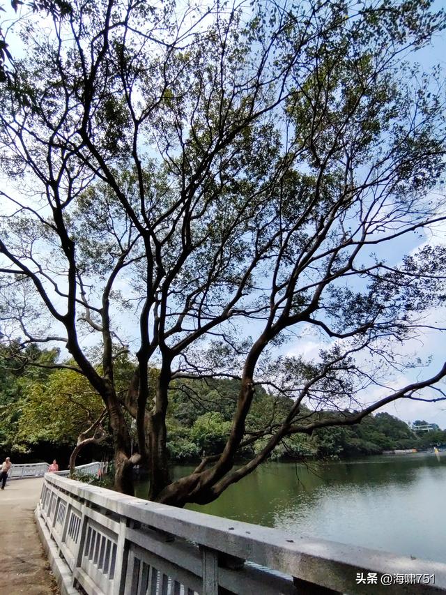 南海西樵山风景区
