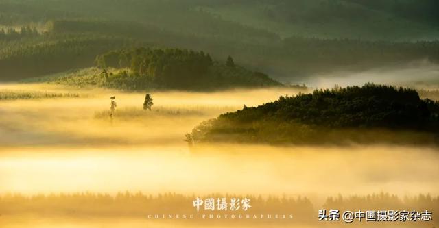 林树国｜塞罕坝林海之歌