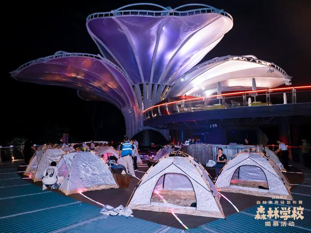 广州亲子研学，夜游植物园，走进大自然的夜课堂