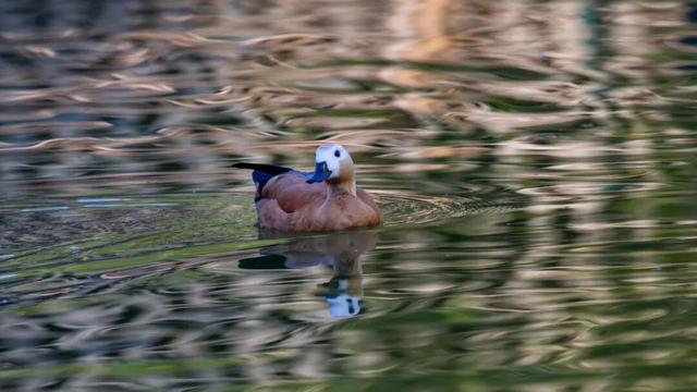 武夷山 | 我就说，这才是过日子~