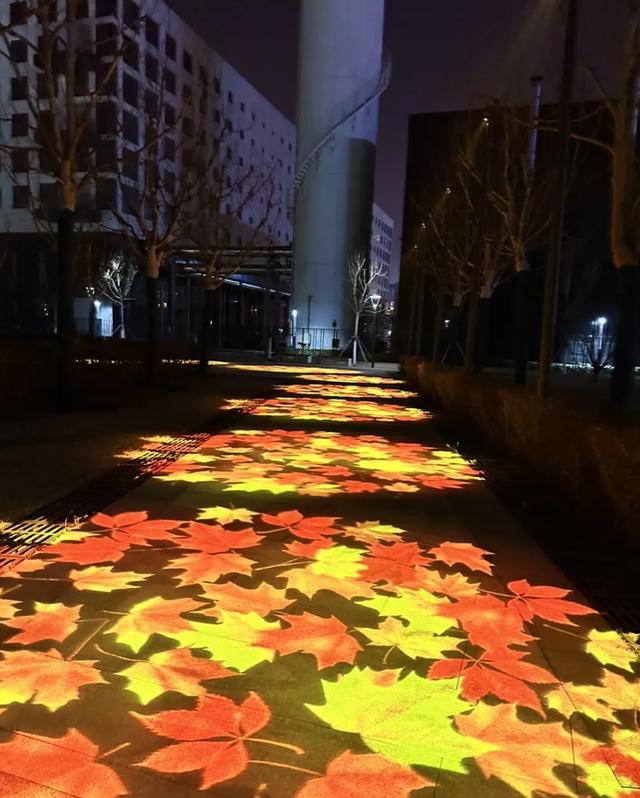 藏不住了!泰达这座神仙公园,让你忍不住“哇塞”!