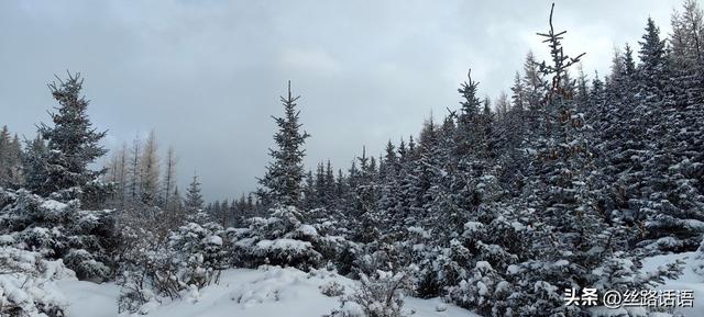 图集丨初雪如诗！焉支山披上冬日“银装”