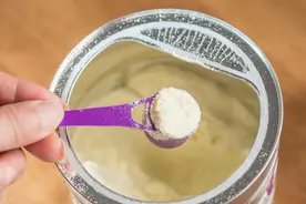 宝宝羊奶粉十大名牌排行榜图片