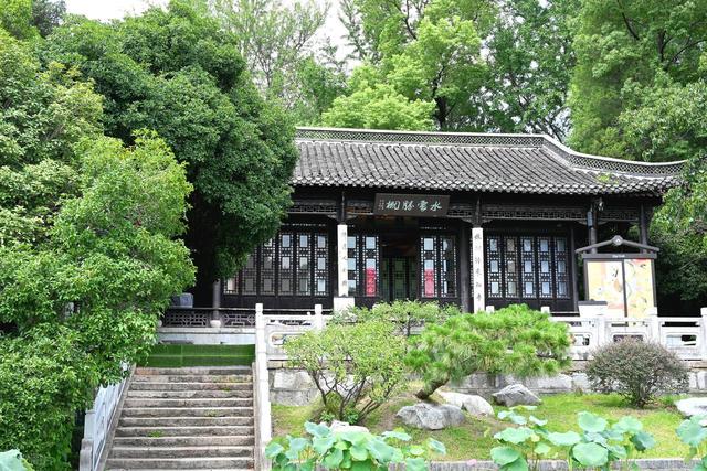 瘦西湖小众赏荷路线：避开人潮，邂逅夏日治愈系“荷”颜悦色