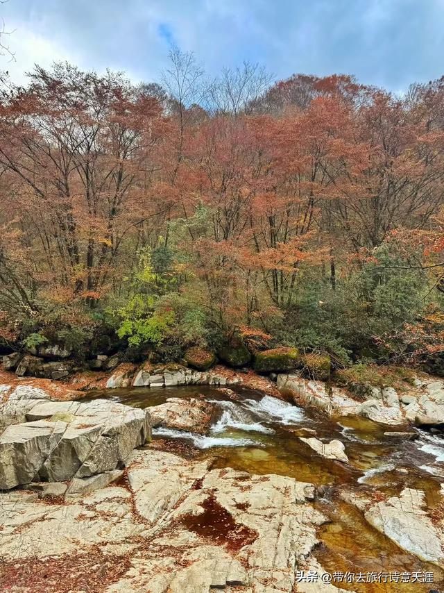 光雾山秋色斑斓,迎来23届光雾山国际红叶节