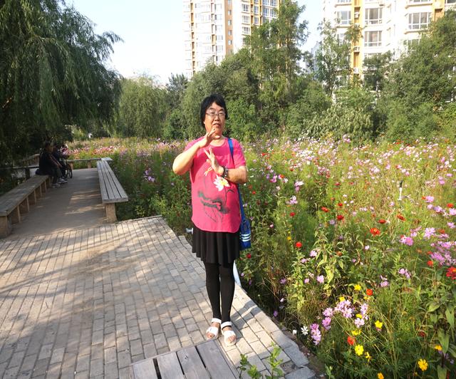 六问沈阳北塔公园空灵花海景点为何无花只有荒草