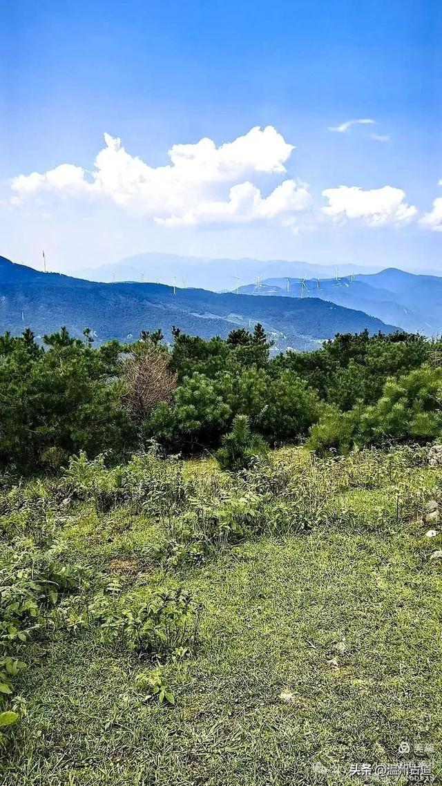 这个有“台州天山”之称的地方,夏纳凉风冬迎雪,露营绝佳!