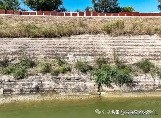 惊叹古人工程质量!景县华家口堤坝建于1911年,百年未有决口